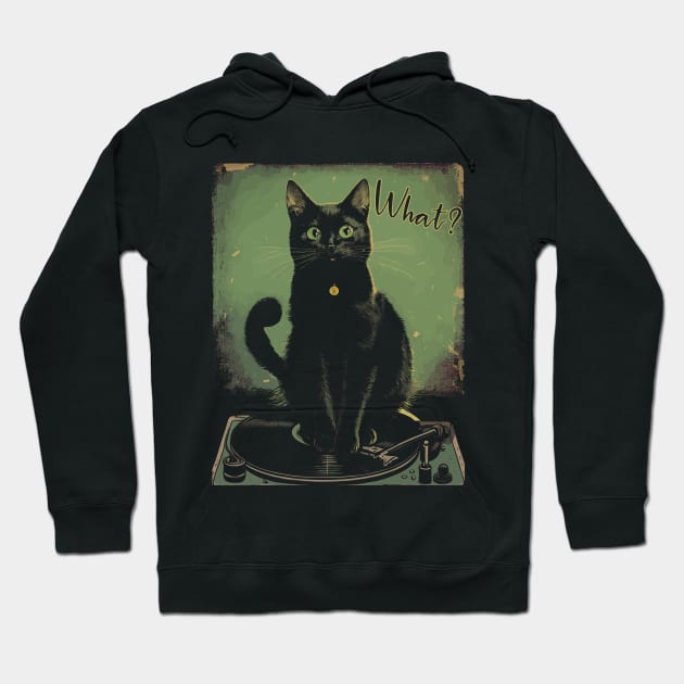 Black Cat Sitting On Vinyl Record Player Women, Men Hoodie by Apocatnipse Meow